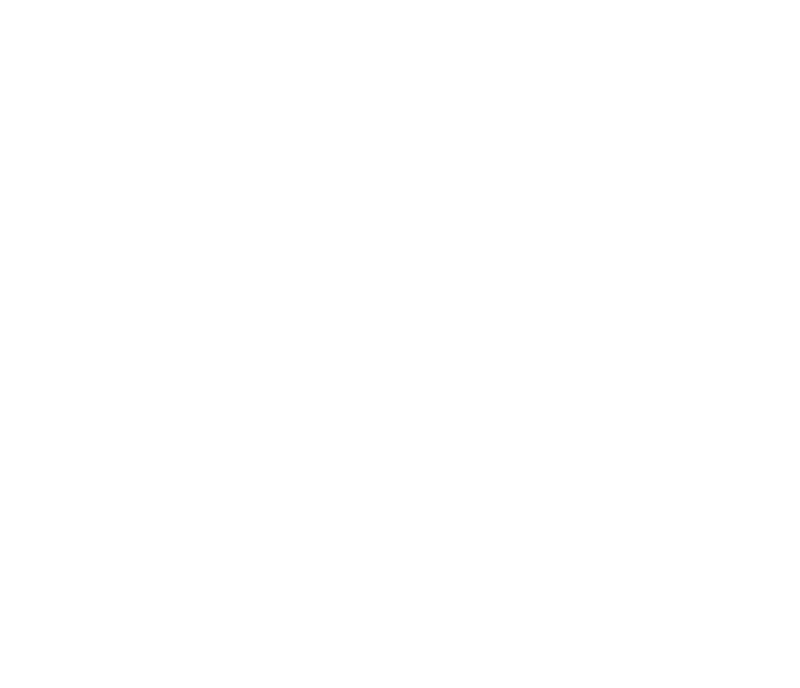 logo main-white